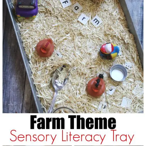 Farm Theme Sensory Literacy Tray