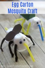 Mosquito Egg Carton Craft