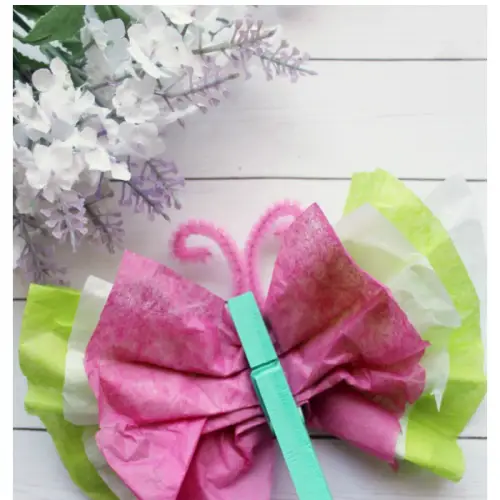 Make A Tissue Paper Butterfly With Kids