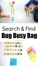 Search and Find Bug Busy Bag
