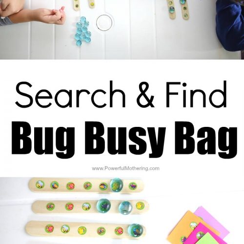 Search And Find Busy Busy Bag