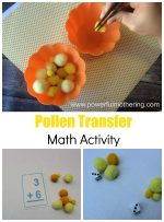 Pollen Transfer Math Activity