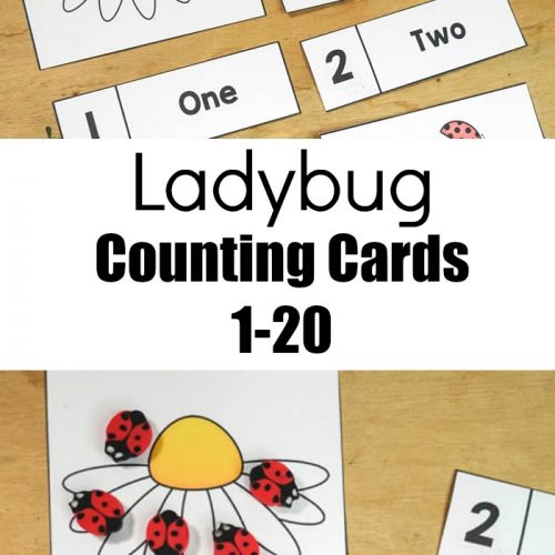 Ladybug Counting Cards 1 20