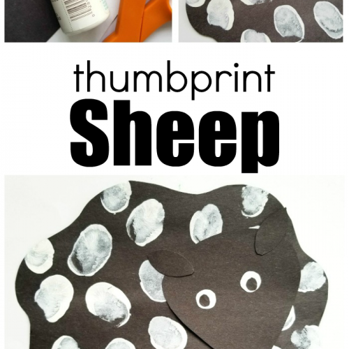 Thumbprint Sheep Craft The Kids Will Love Making