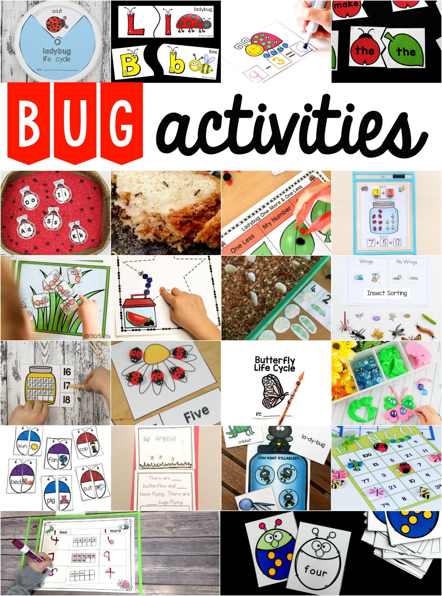 Bug Activities