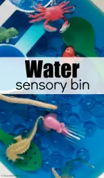 Ocean-Themed Water Sensory Bin for Kids