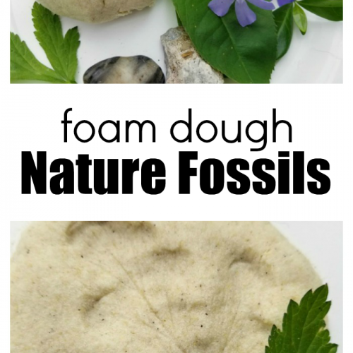 How To Make Taste Safe Foam Dough Fossils