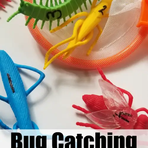 How To Make A Bug Catching Game For Kids