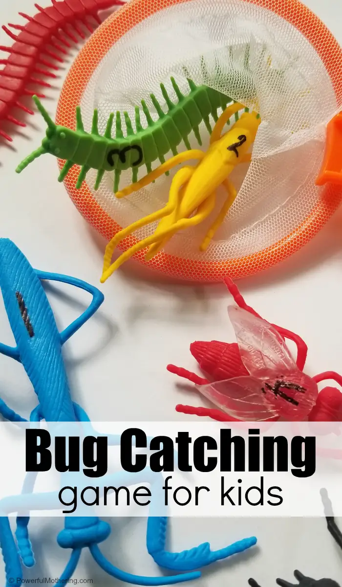 Engaging Bug Catching Game: A Fun Way To Learn and Have Fun