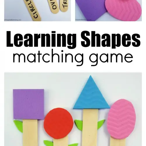 Learning Shapes With Homemade Flower Matching Game