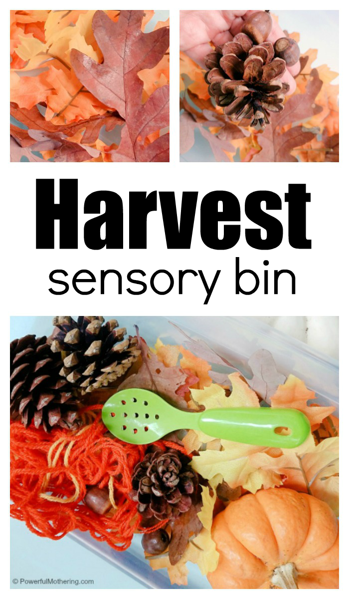 How To Make A Fall Harvest Sensory Bin