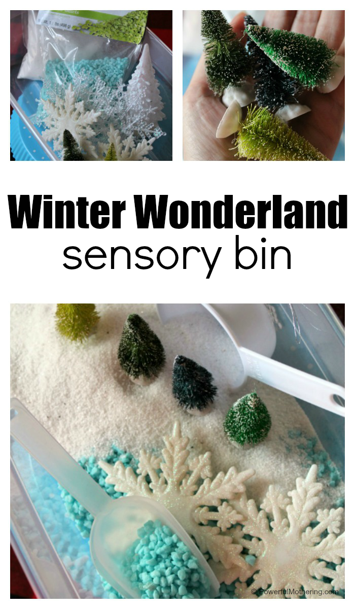 How To Set Up A Winter Sensory Bin Invitation
