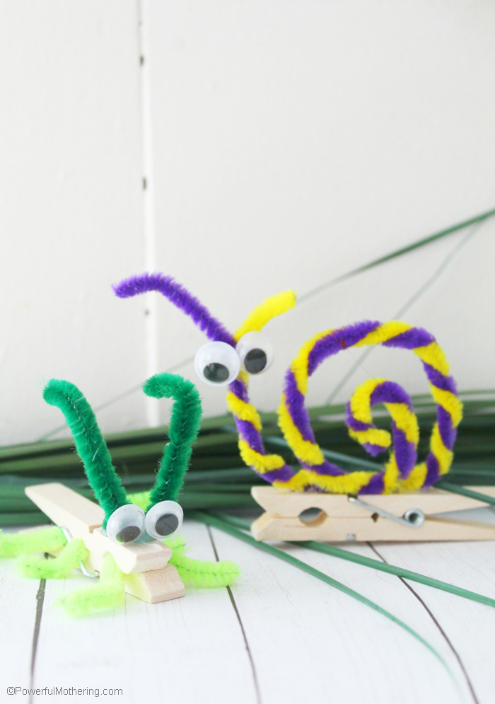 Pipe Cleaner Bugs