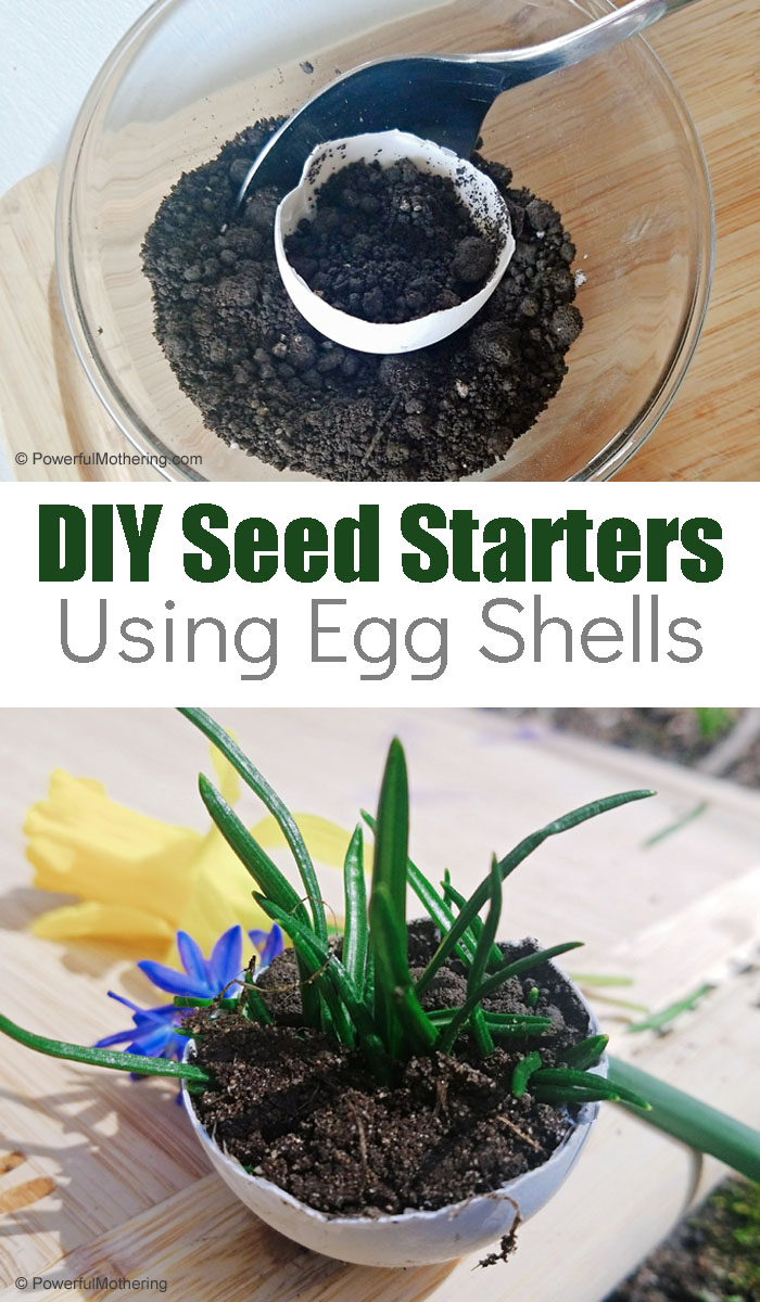 Are you thinking of starting a garden? This is a simple way with a DIY Seed Starter that you and your kids can make with supplies you may already have.