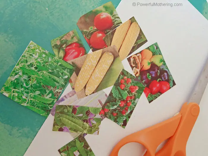 This is a fun craft for kids that is perfect for Spring. Grab those gardening catalogs and create a easy paper garden collage of your own! 