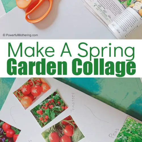 This is a fun craft for kids that is perfect for Spring. Grab those gardening catalogs and create a easy paper garden collage of your own!