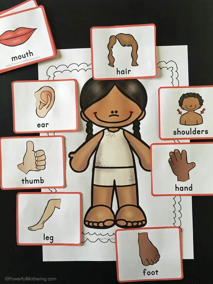 Body Part Matching Game To Help Children Identify Body Parts and Locations 