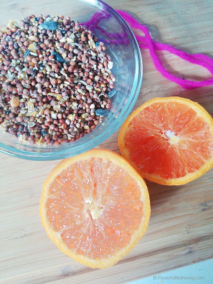 Create a pretty and easy natural bird feeder with an orange peel. Birds will love it and kids will enjoy making it so much!