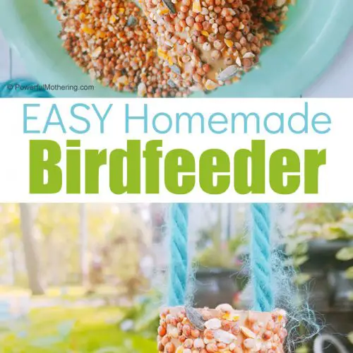 A simple bird feeder kids will love making!
