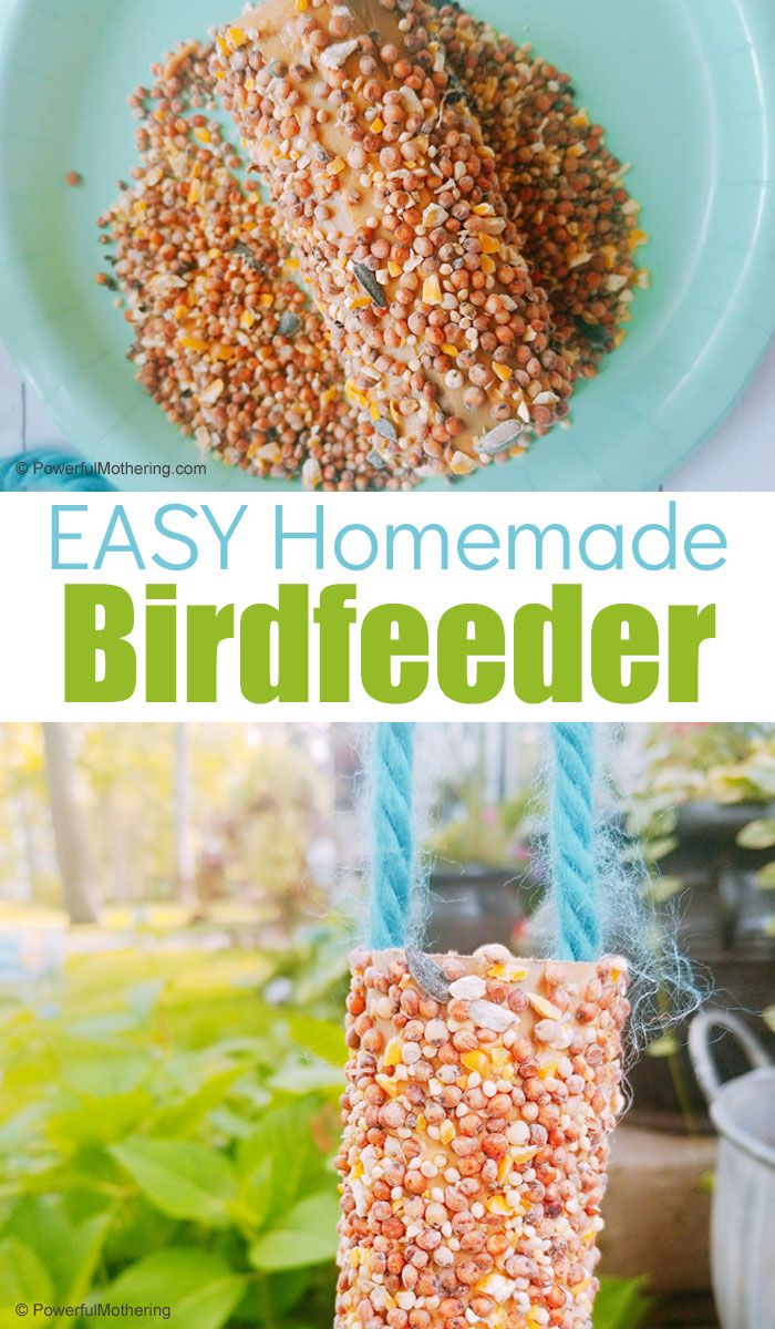 A simple bird feeder kids will love making! 