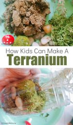 Mini Terrarium Craft for Kids