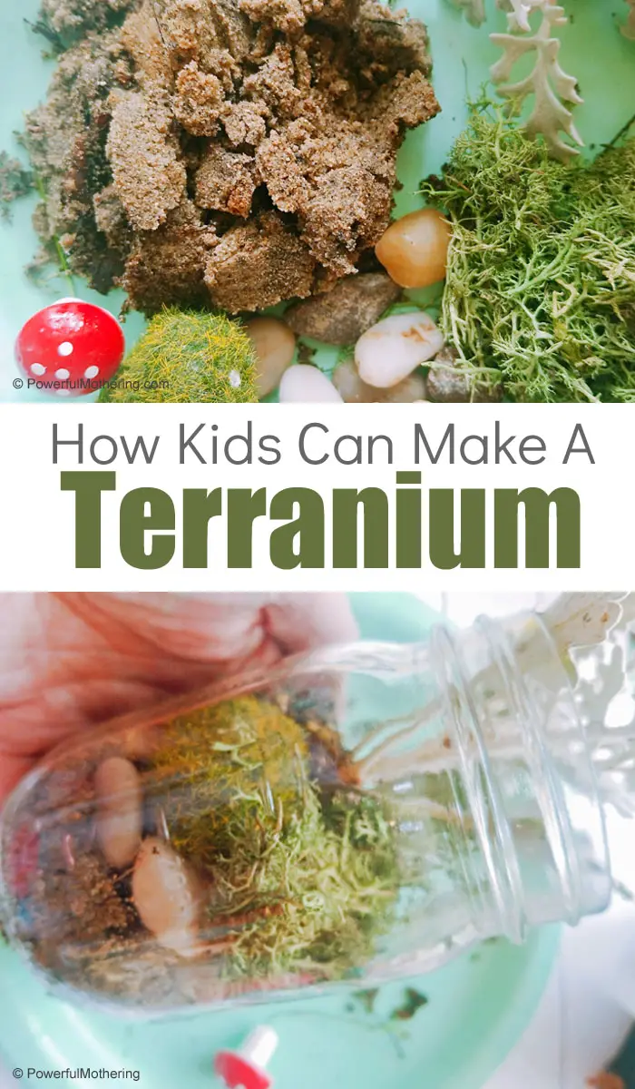 Help Kids Build A Terrarium 