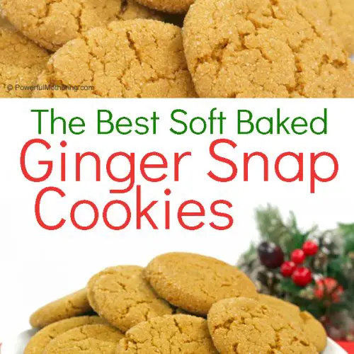 The Best Soft Baked Gingerbread Cookie recipe. These are the perfect holiday cookies to dip in hot chocolate or coffee.