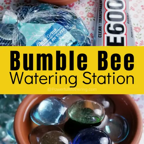bumble Bee Watering Station