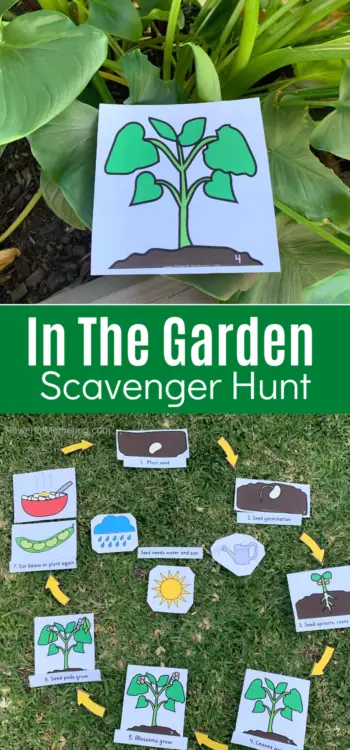 This printable activity is the perfect way to get your kids outside for learning. Help your kids understand about the life cycle of the seeds in their garden with a fun, engaging scavenger hunt.