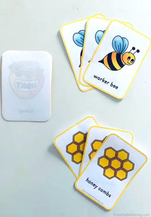 This game will teach kids all about the life cycle of a bee, how it pollinates flowers, and more! 