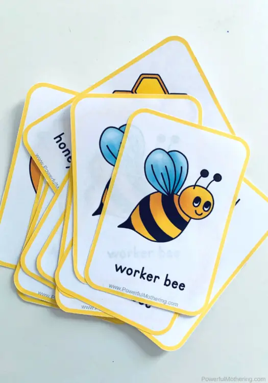 This game will teach kids all about the life cycle of a bee, how it pollinates flowers, and more!