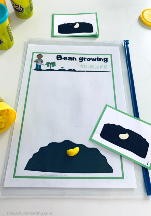 A simple and fun play dough activity for explaining what a seed goes through when it gets planted. This includes the free printables as well. 