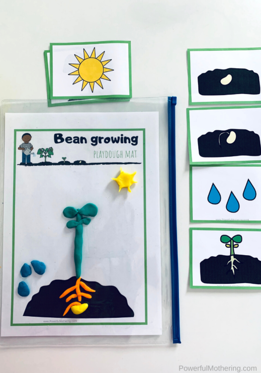 A simple and fun play dough activity for explaining what a seed goes through when it gets planted. This includes the free printables as well.
