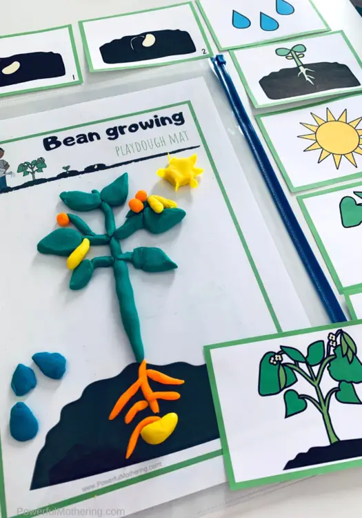 A simple and fun play dough activity for explaining what a seed goes through when it gets planted. This includes the free printables as well. 