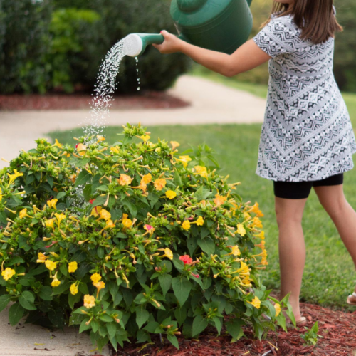 These tips are super easy ways to help actually make gardening fun for kids of all ages!