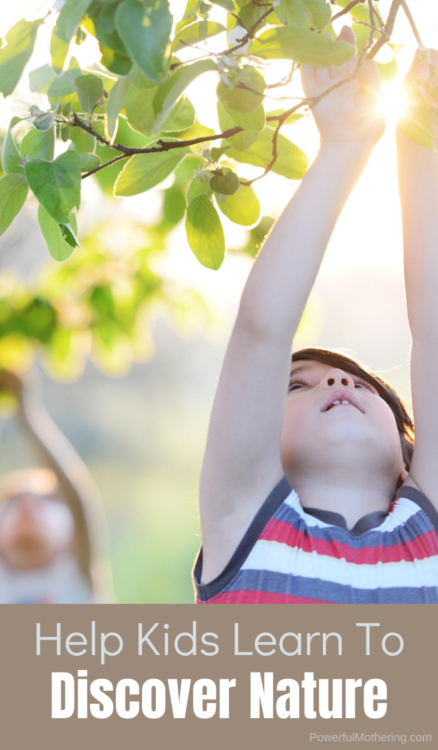 Developing a sense of place in nature helps children feel comfortable connecting with the outdoors through active exploration and the ability to be still and observant.
