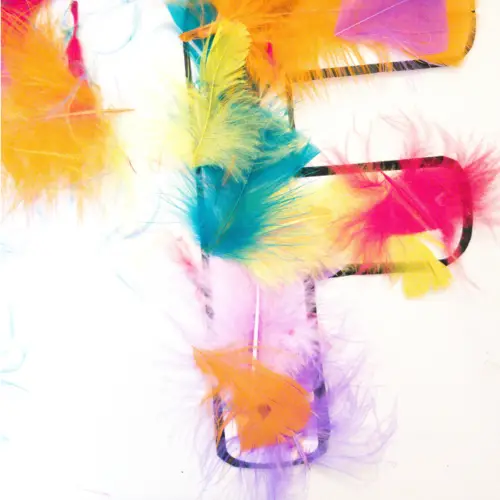 A fun feather craft to help children learn all about the letter F.