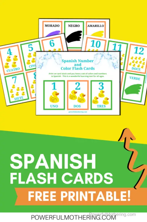 Printable Spanish Flashcards to help anyone, especially children. learn knew Spanish words. 