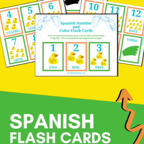 Printable Spanish Flashcards to help anyone, especially children. learn knew Spanish words.