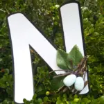 Letter N Craft: Nest