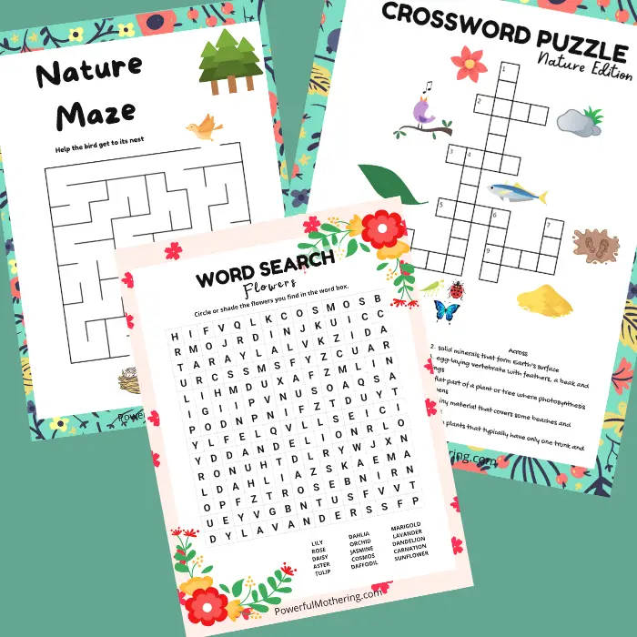 Printable Nature maza Games