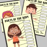 Parts Of A Body Labeling Activity