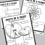Plant Activity: Color, Cut & Label