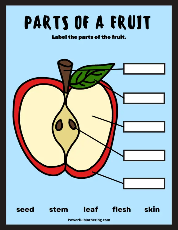 Kindergarten Science Worksheets Label A Plant Apple