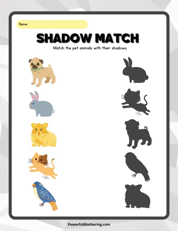 shadow match-pets