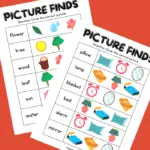 Printable Picture Find Activity