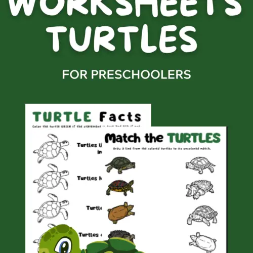 reptile worksheets - turtles - for kids - free printouts