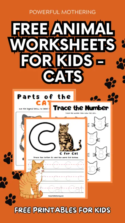 free animal worksheets for kids - cats