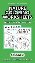 Nature Coloring Worksheets
