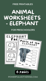 Animal Worksheets – Elephant